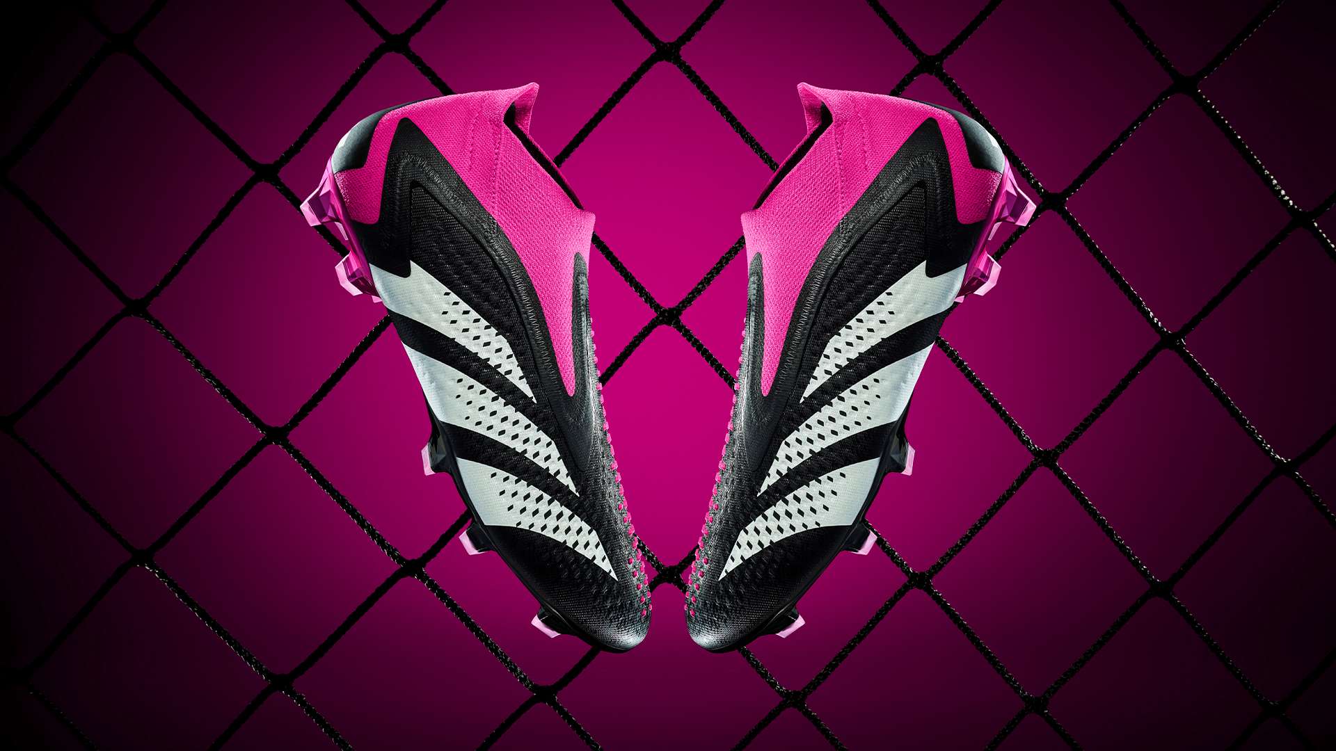 辉煌的未来 辉煌的未来