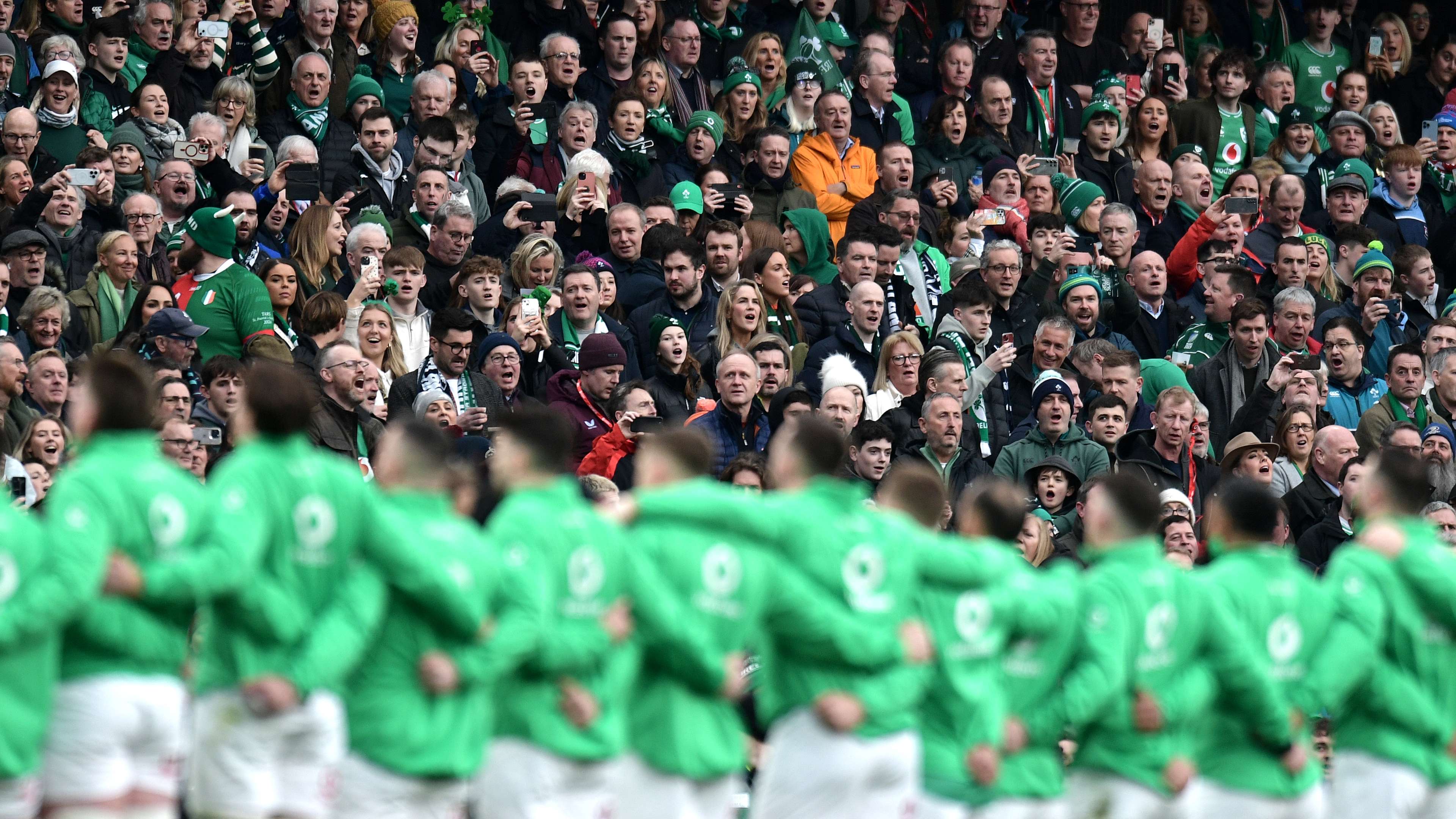 不仅能够提 不仅能够提