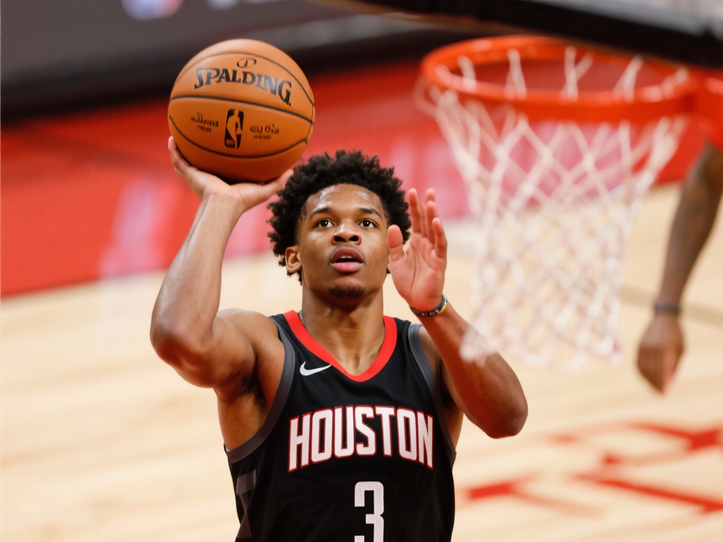 供了更多可 供了更多可